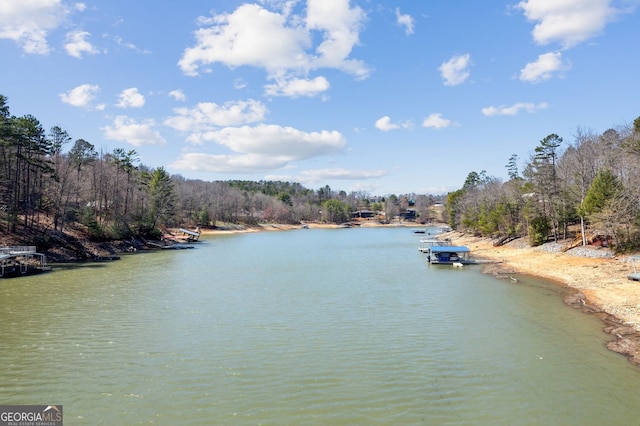 property view of water featuring a boat dock and a forest view