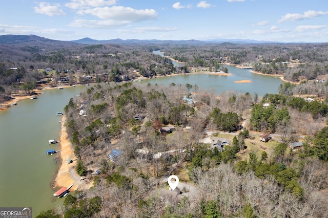 drone / aerial view featuring a forest view and a water and mountain view