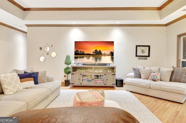 living area featuring crown molding, a raised ceiling, and wood finished floors