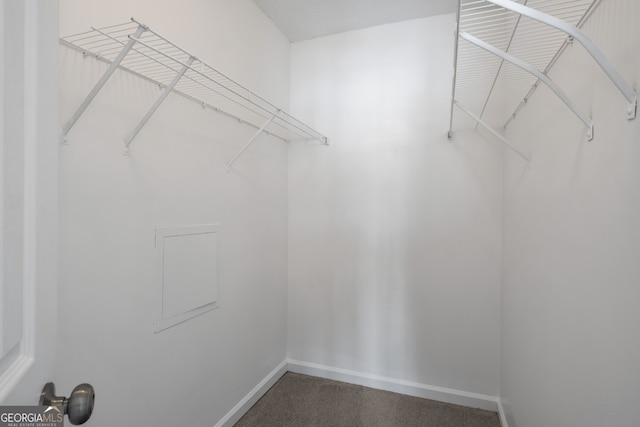 spacious closet featuring carpet floors