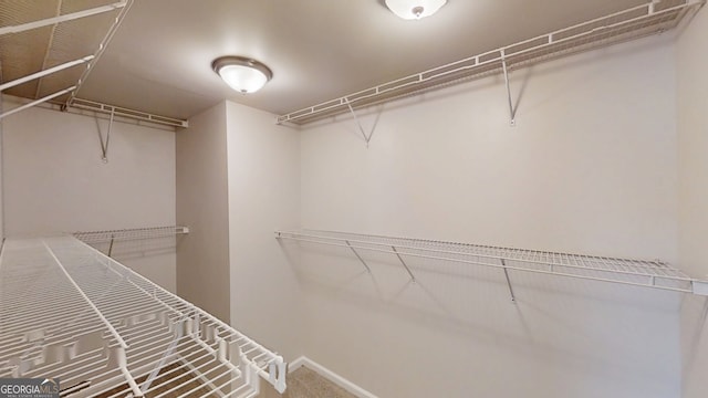 spacious closet featuring carpet