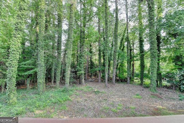 view of local wilderness