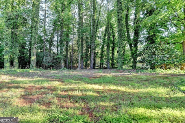 view of nature featuring a wooded view