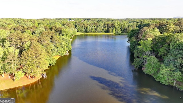 bird's eye view with a water view and a wooded view