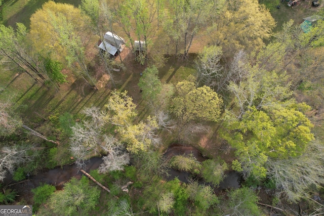 bird's eye view with a forest view