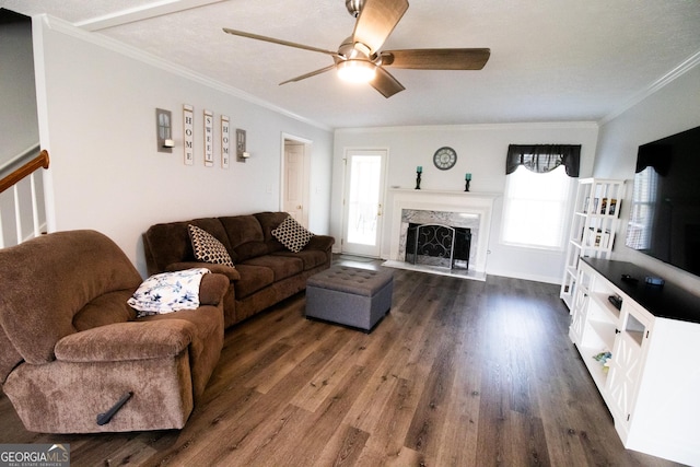 living area featuring dark wood-style floors, a high end fireplace, ornamental molding, and a ceiling fan