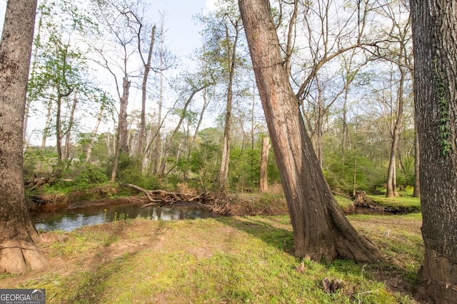 view of yard featuring a forest view