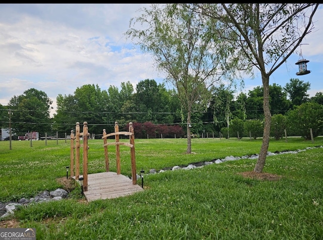 181 King St, Clermont, GA 30527 - view of green lawn