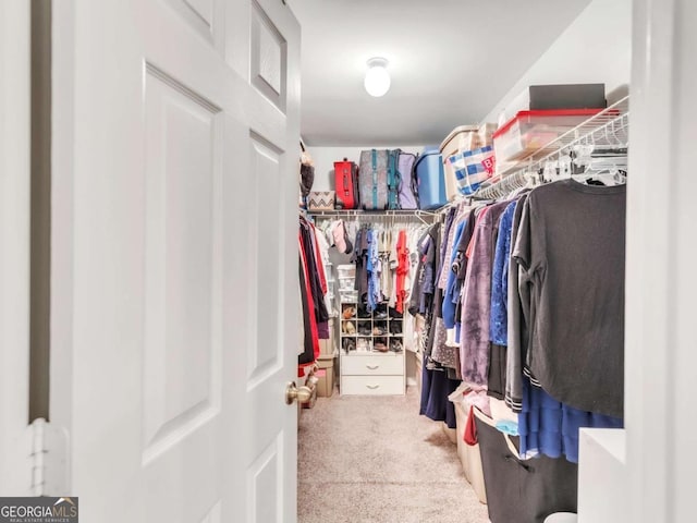 5454 Alanis Pl SE Unit 19, Mableton, GA 30126 - spacious closet with carpet floors