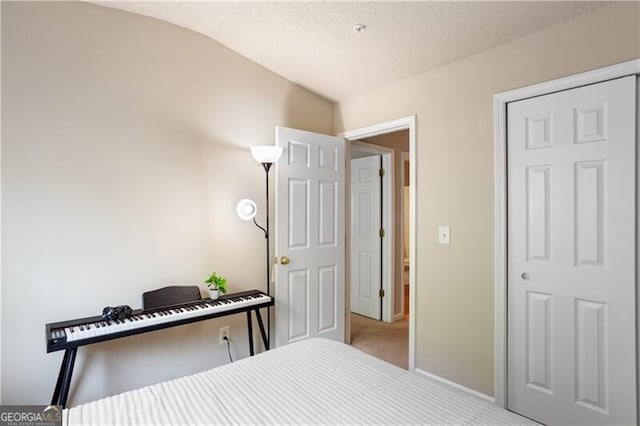 223 Riverstone Commons Cir, Canton, GA 30114 - bedroom featuring baseboards, a textured ceiling, vaulted ceiling, and carpet