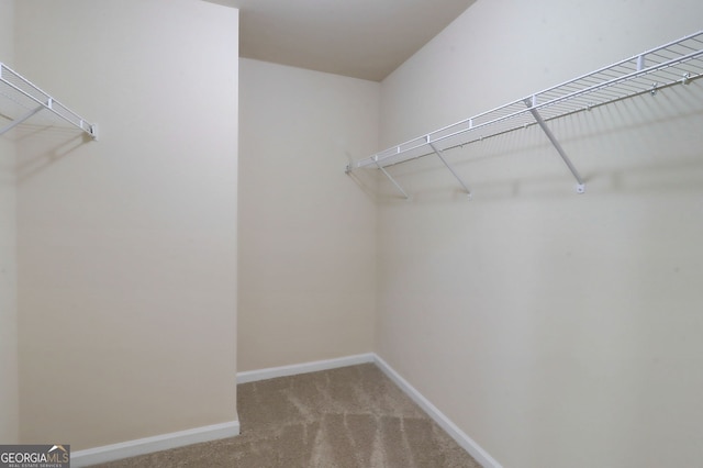 2205 Capella Cir SW, South Fulton, GA 30331 - walk in closet featuring carpet flooring