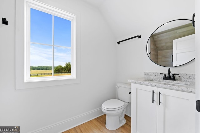 284 Community House Rd, Barnesville, GA 30204 - bathroom featuring vanity, wood finished floors, and lofted ceiling