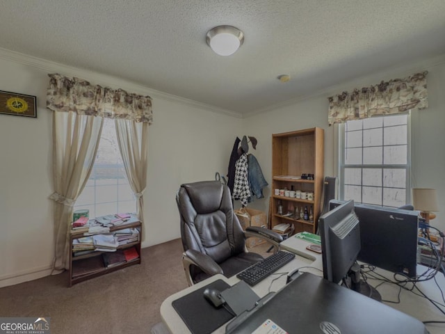 2188 Hi Roc Cir, Conyers, GA 30012 - office area with crown molding, a textured ceiling, and carpet flooring