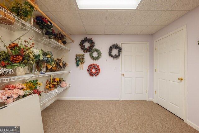 interior space featuring carpet flooring, baseboards, and a drop ceiling