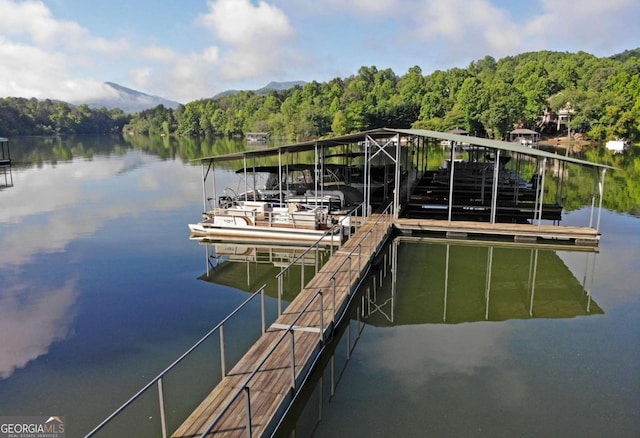 47 Hidden Fields Rd, Hiawassee, GA 30546 - dock area featuring a water view and a forest view