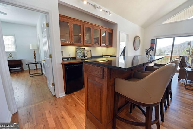 47 Hidden Fields Rd, Hiawassee, GA 30546 - bar with rail lighting, light wood-style floors, a mountain view, dishwasher, and lofted ceiling