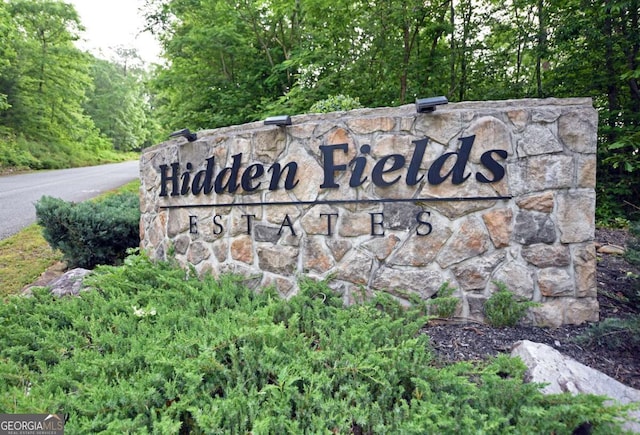 47 Hidden Fields Rd, Hiawassee, GA 30546 - view of community sign