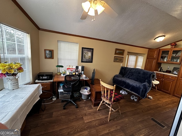88 Fishtail Cir, Cleveland, GA 30528 - office featuring vaulted ceiling, dark wood-type flooring, ornamental molding, a textured ceiling, and ceiling fan