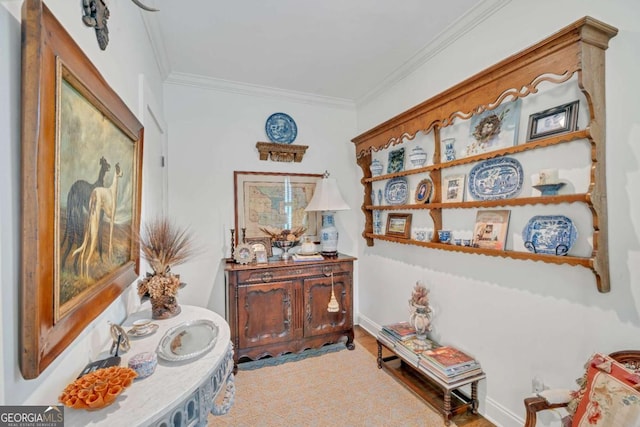 interior space with ornamental molding