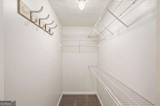 802 Eagle Glen Xing, Woodstock, GA 30189 - spacious closet with carpet flooring