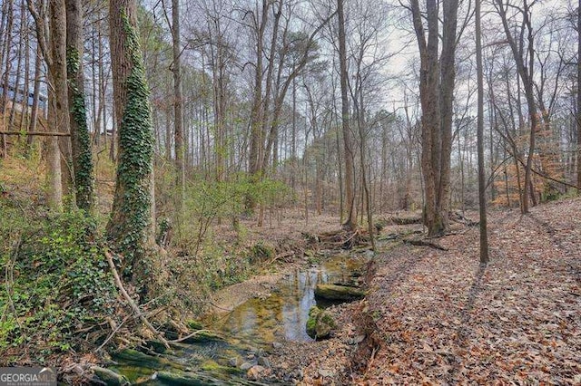 802 Eagle Glen Xing, Woodstock, GA 30189 - view of wooded area