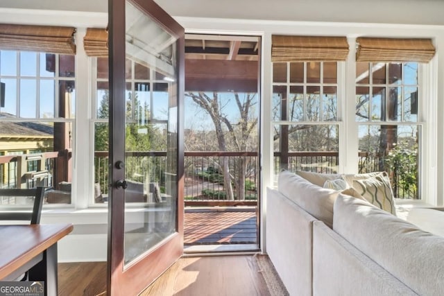 entryway featuring wood finished floors