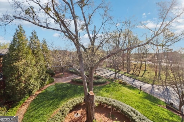 view of community featuring a yard