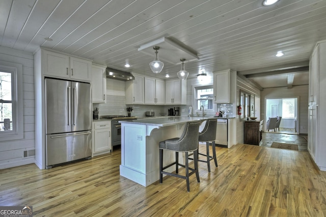 kitchen with high quality appliances, a healthy amount of sunlight, and light wood finished floors