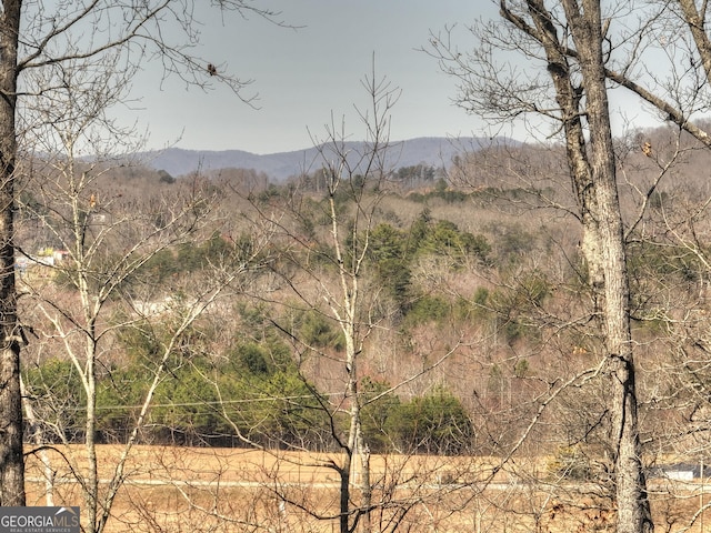 view of mountain feature with a view of trees