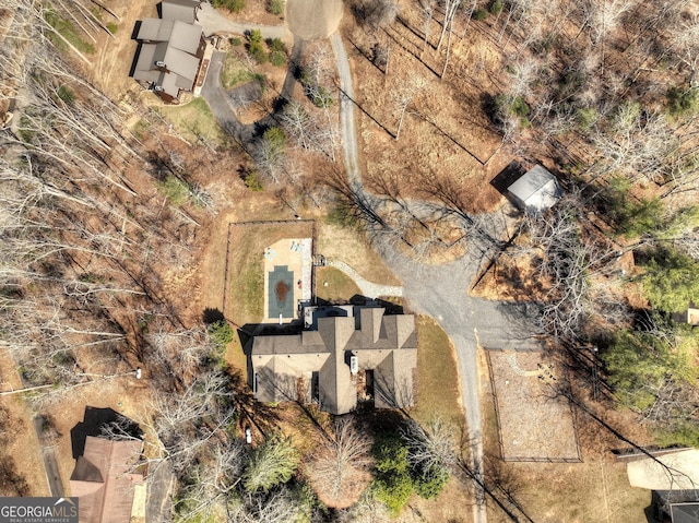 bird's eye view