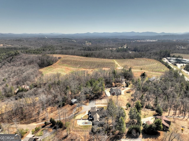bird's eye view with a mountain view, a view of trees, and a rural view