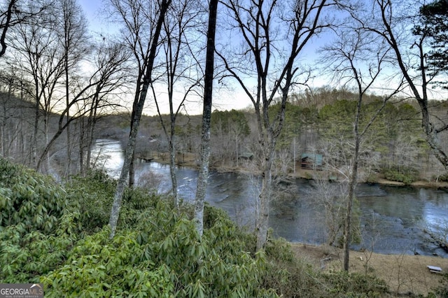 property view of water with a forest view