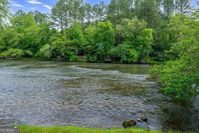 property view of water featuring a view of trees