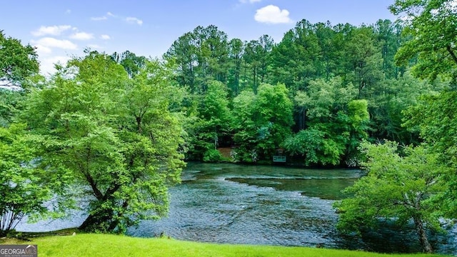 water view with a wooded view