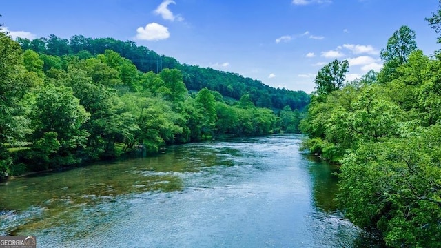 property view of water featuring a view of trees