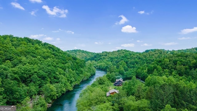 birds eye view of property with a water view and a forest view