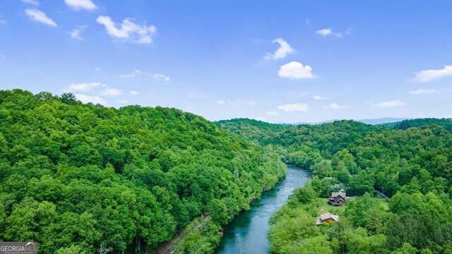 aerial view with a water view and a view of trees