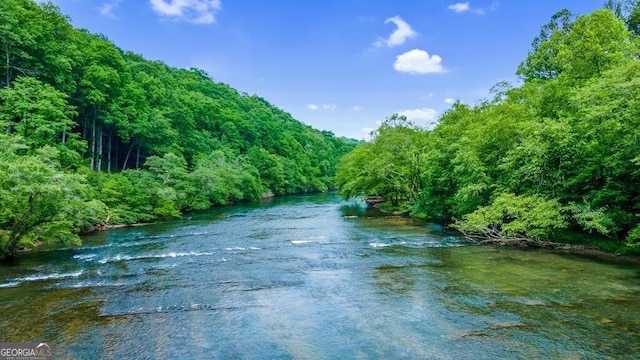 property view of water with a wooded view