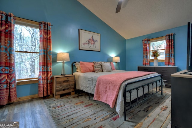 1301 Newport Dr, Ellijay, GA 30540 - bedroom with lofted ceiling, wood finished floors, a ceiling fan, and baseboards