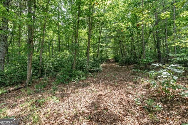 LOT35 Hidden Hbr Unit 35, Blairsville, GA 30512