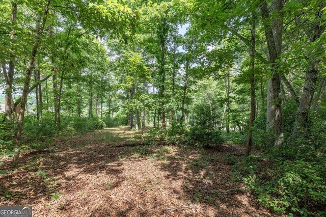 LOT35 Hidden Hbr Unit 35, Blairsville, GA 30512