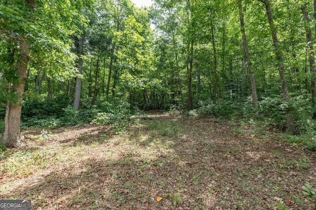 LOT35 Hidden Hbr Unit 35, Blairsville, GA 30512