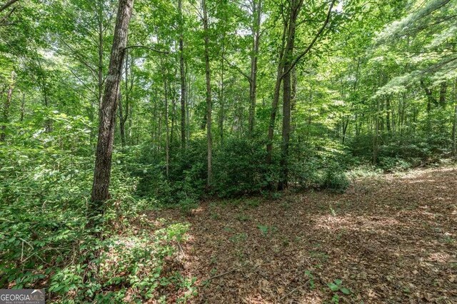 LOT35 Hidden Hbr Unit 35, Blairsville, GA 30512
