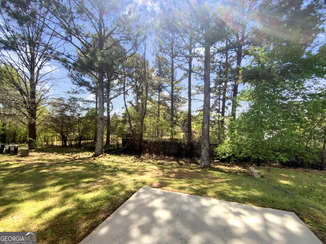 1005 Magnolia Gardens Walk, Mcdonough, GA 30253 - view of yard featuring a patio area