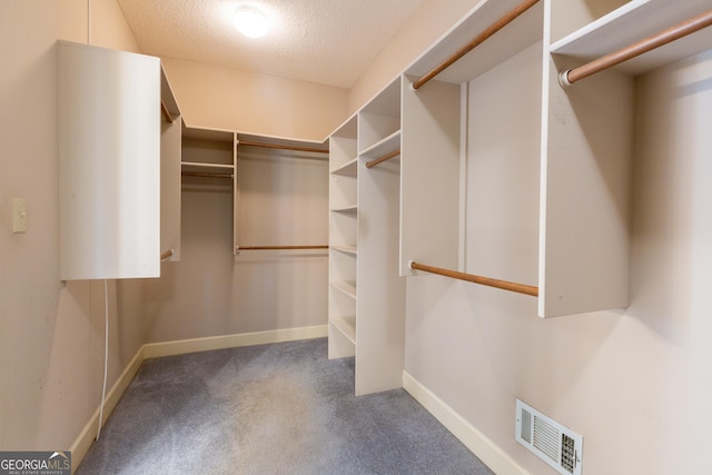 115 Flagstop Run, Fayetteville, GA 30215 - walk in closet featuring carpet floors