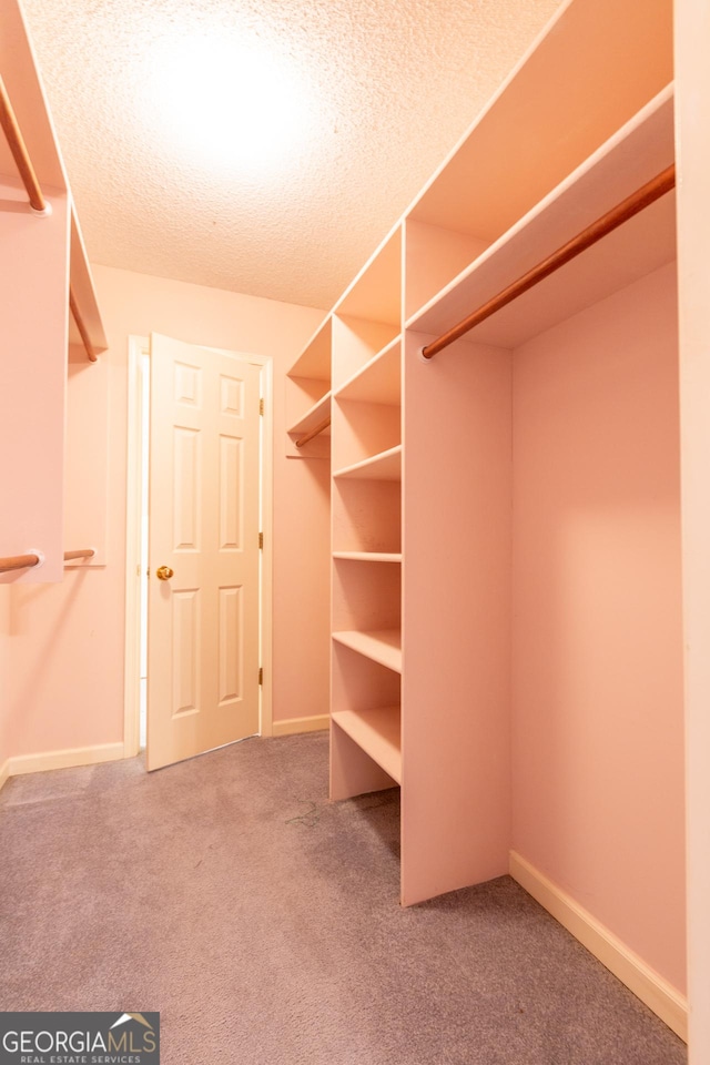 115 Flagstop Run, Fayetteville, GA 30215 - walk in closet featuring carpet floors