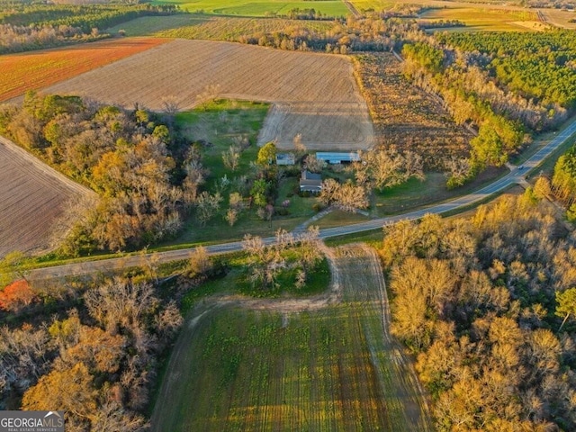 1567 Salem Church Rd, Rebecca, GA 31783