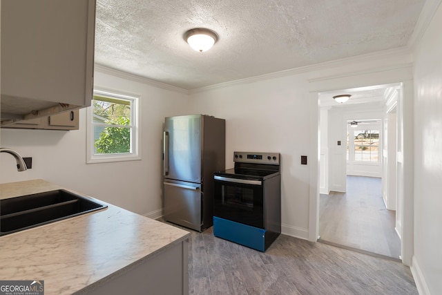 kitchen with a sink, appliances with stainless steel finishes, a healthy amount of sunlight, and crown molding
