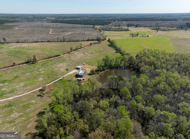 1725 Watermelon Rd, Tennille, GA 31089 - drone / aerial view with a rural view