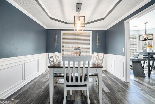 dining space with a raised ceiling, a decorative wall, dark wood-style floors, and a wainscoted wall